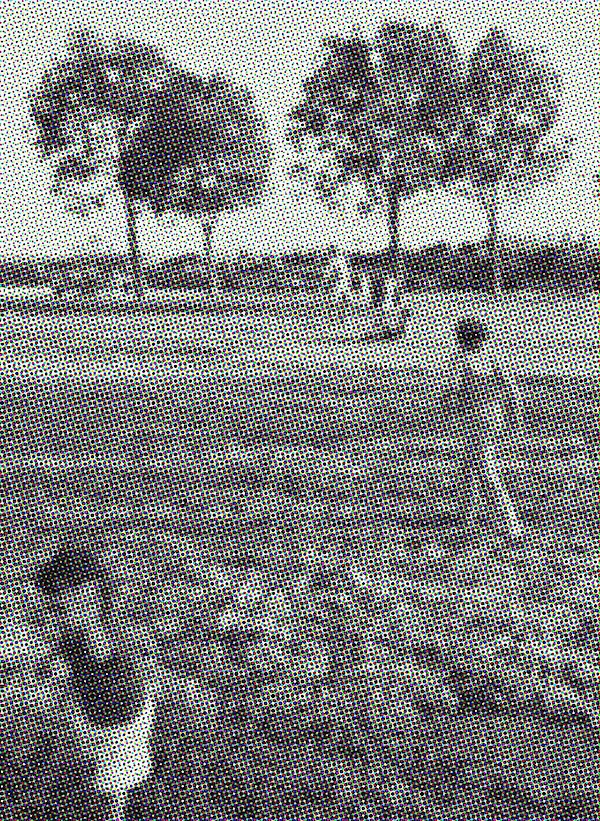 © Institute for Landscape Architecture ILA